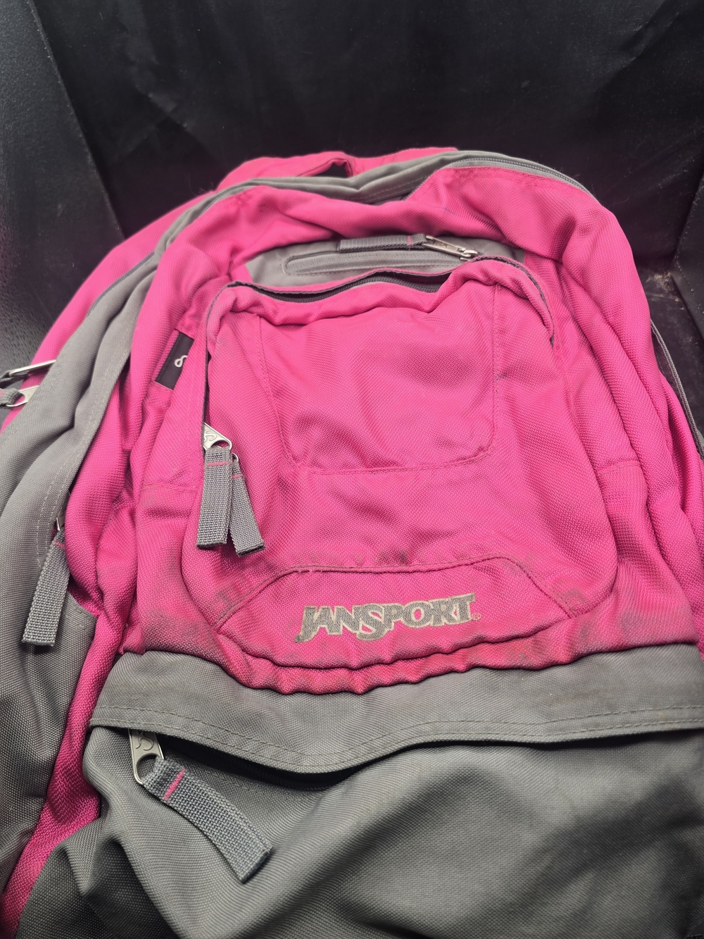 JanSport Women's‎ Pink and Gray Daypack Backpack